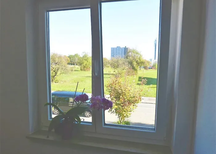 Gaestezimmer Gross 公寓 蒂宾根